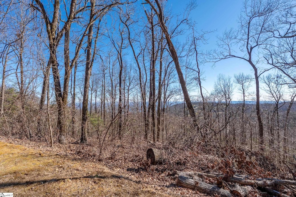 00 Wild Ginger Rd, Landrum, SC 29356 - photo 1