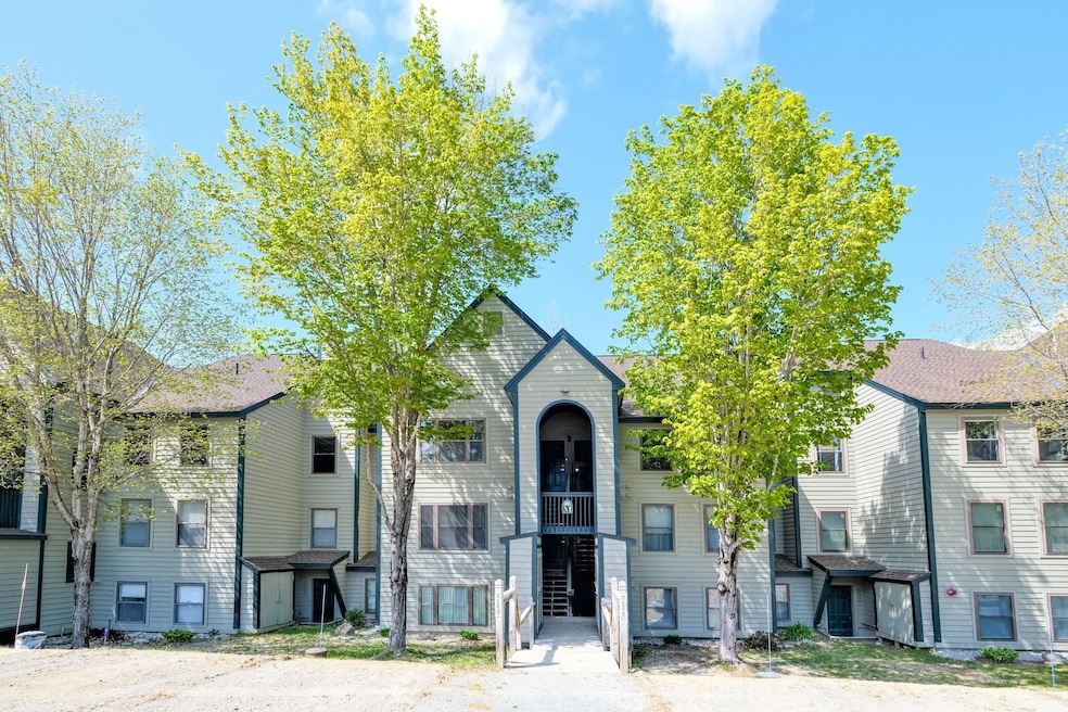 42 Harrison Ln unit M-205, Ludlow, VT 05149 - photo 1