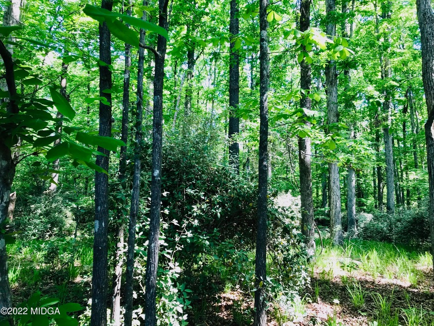 5963 Rivoli Dr, Macon, GA 31210 - photo 1