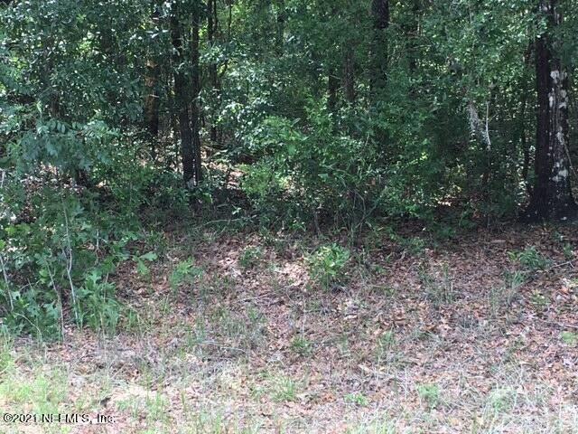 4176 Chokeberry Rd, Middleburg, FL 32068 - photo 1