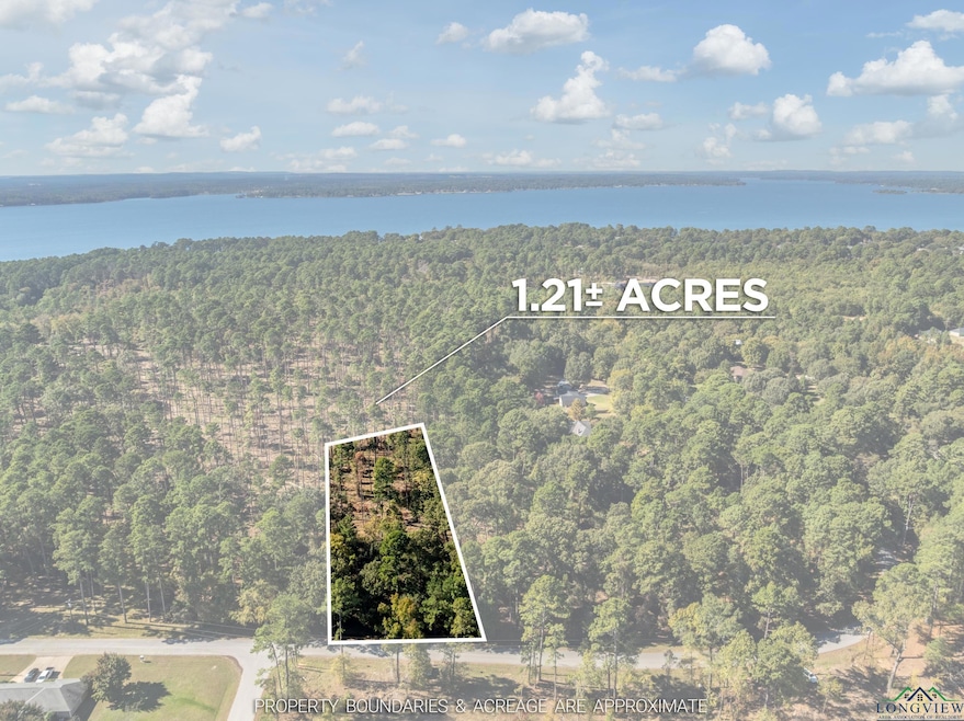 0 Pintail Lot 4, Flint, TX 75762 - photo 1