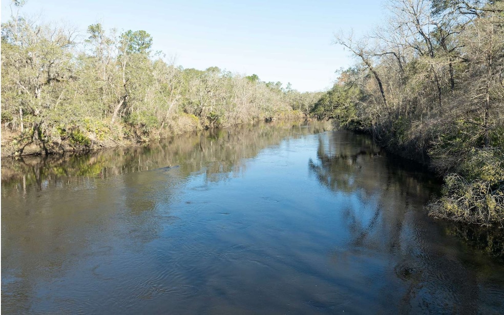 River Life on the Withlacoochee