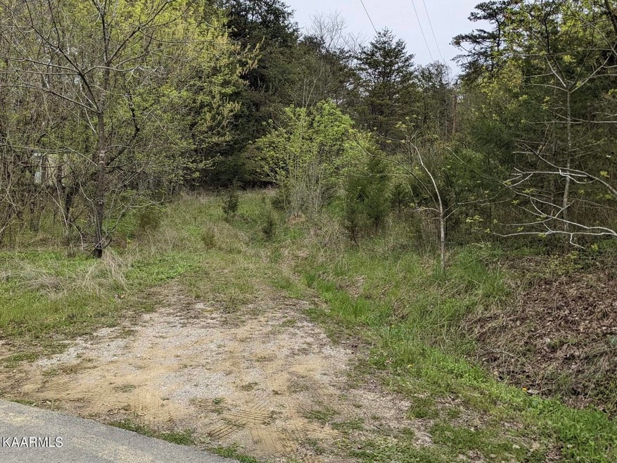 0 Lester Whitt Rd unit 1188060, Rutledge, TN 37861 - photo 1