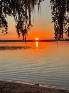 Salt Springs Resort Elite