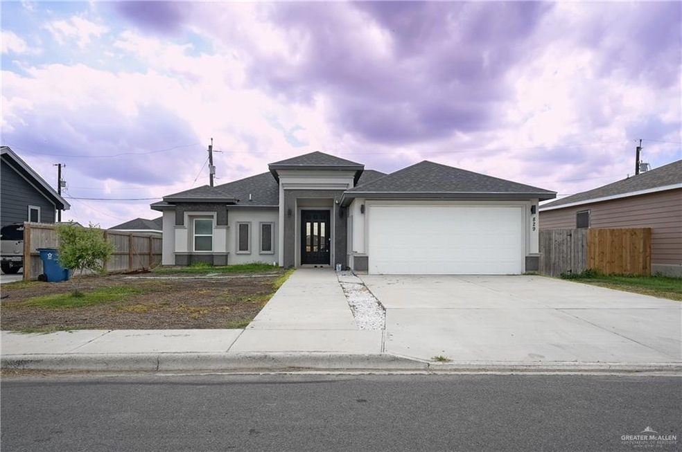 829 Hawk St, Alamo, TX 78516 - photo 1