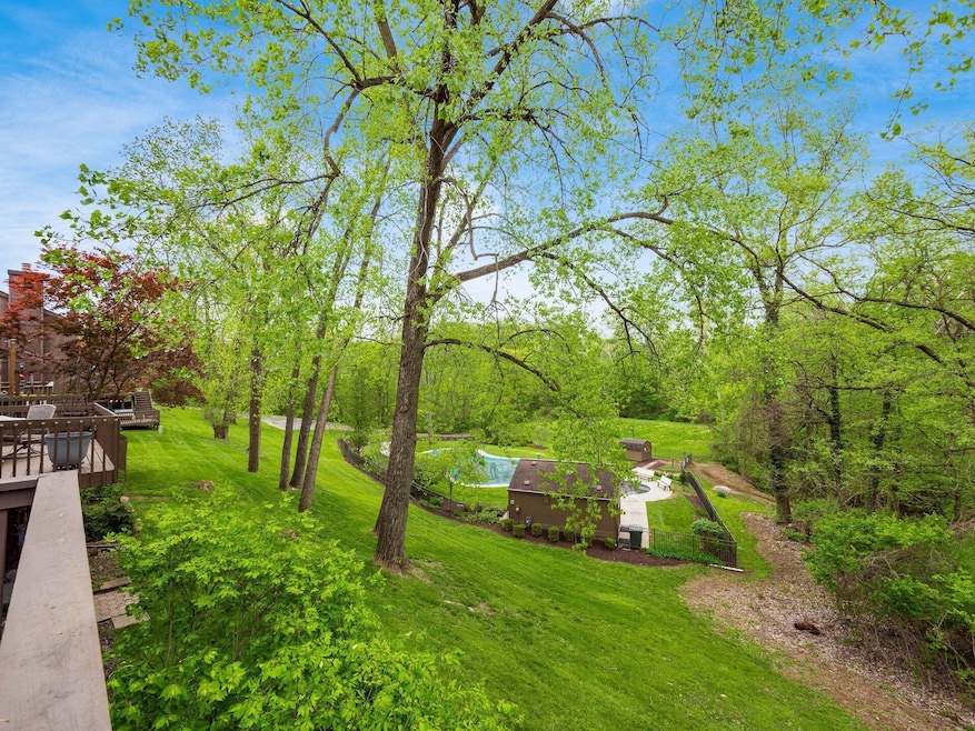 VIEW FROM DECK