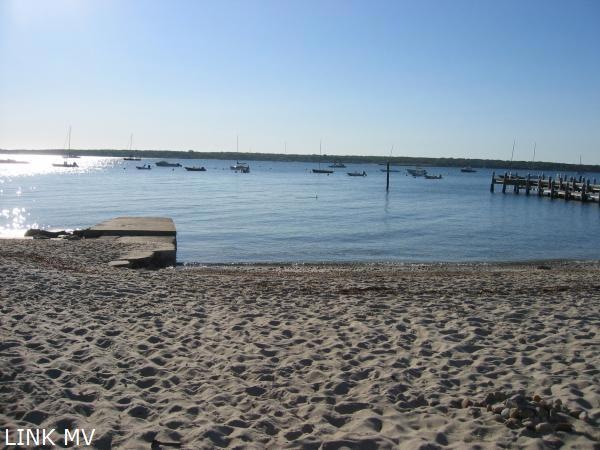 0 Locust Ln, Tisbury, MA 02568 - photo 1