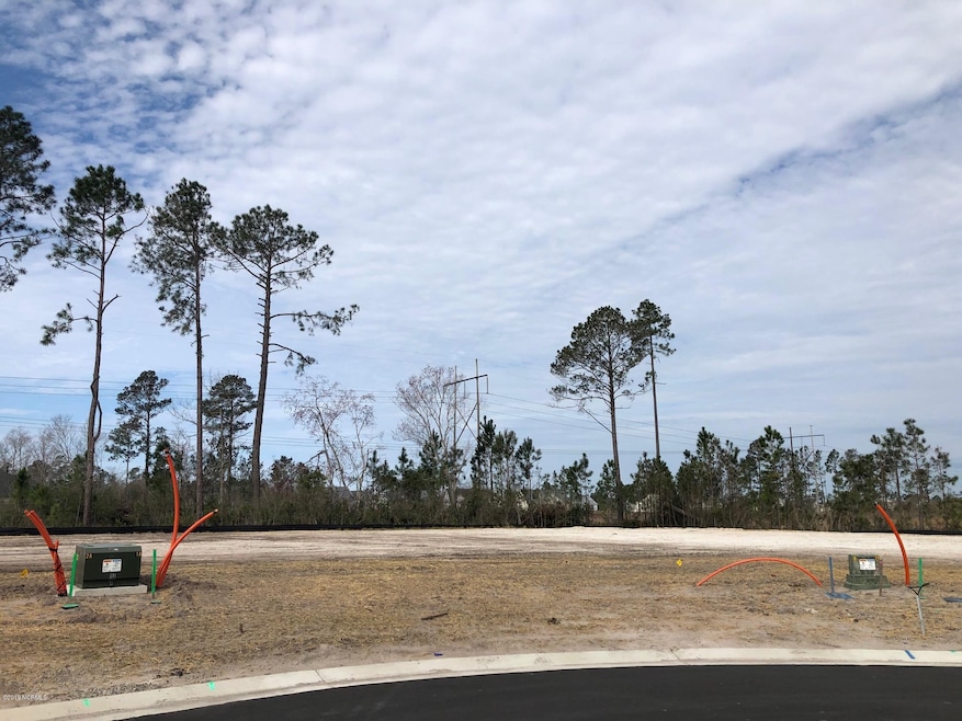 8440 Fontana Lake Ct, Leland, NC 28451 - photo 1