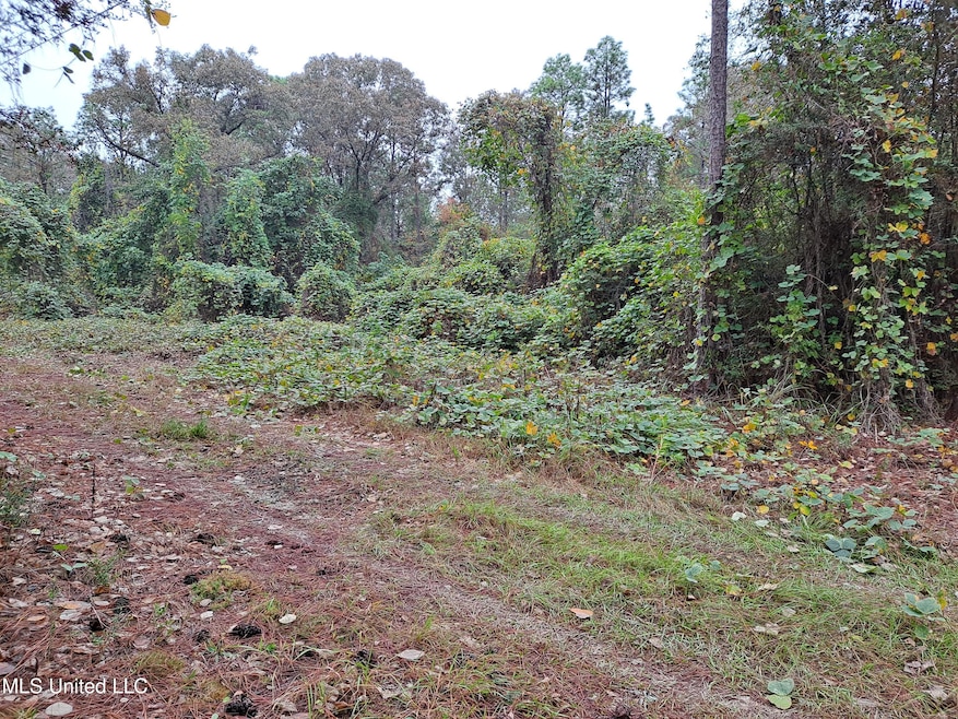 0 1 Acres Hwy 612, Lucedale, MS 39452 - photo 1