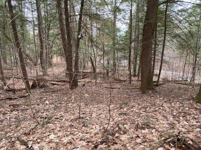 17 Nina Lee, Putney, VT 05346 - photo 1