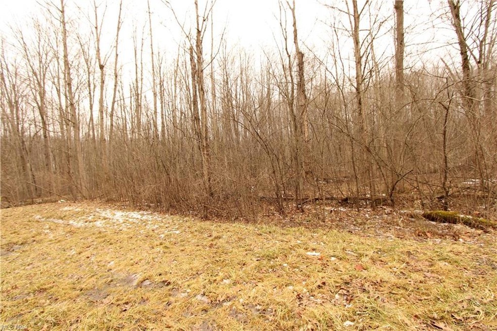 0 Smith St unit 4352507, Oberlin, OH 44074 - photo 1