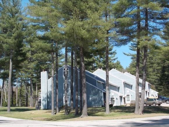 41 Mountain River Ave unit 78, Thornton, NH 03285 - photo 1