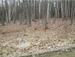 0 Davidson Hill Rd, Andover, VT 05143 - photo 1