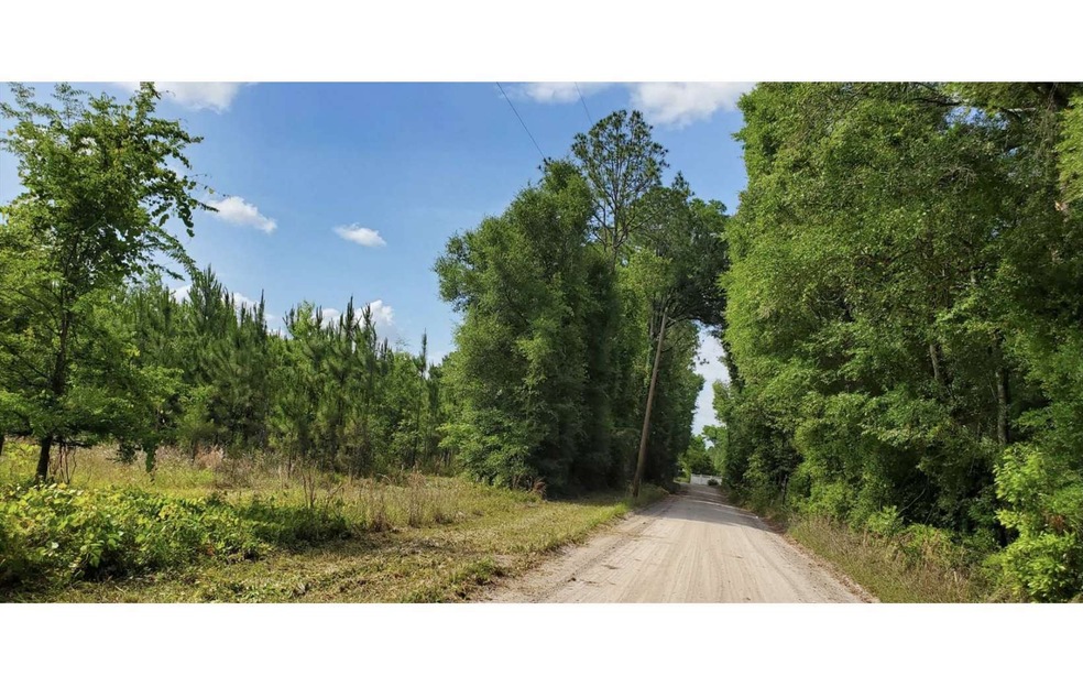 0 264th St, O'Brien, FL 32071 - photo 1