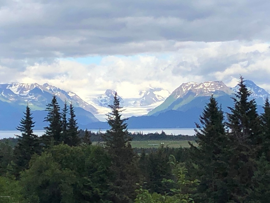 Kachemak Bay View