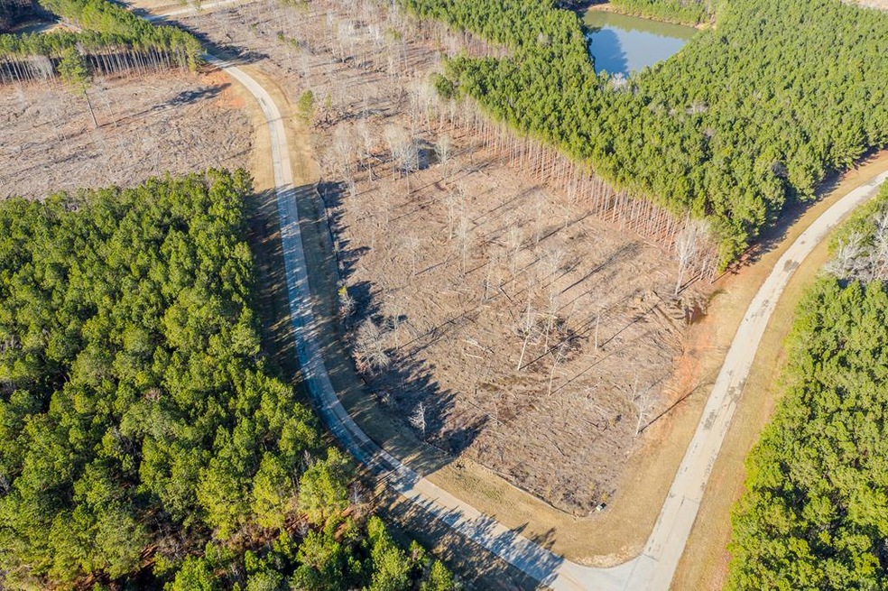 2041 Nathania Farm Rd, Lincolnton, GA 30817 - photo 1