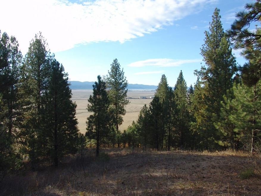 10 Rehn Loop unit 1, Cascade, ID 83611 - photo 1