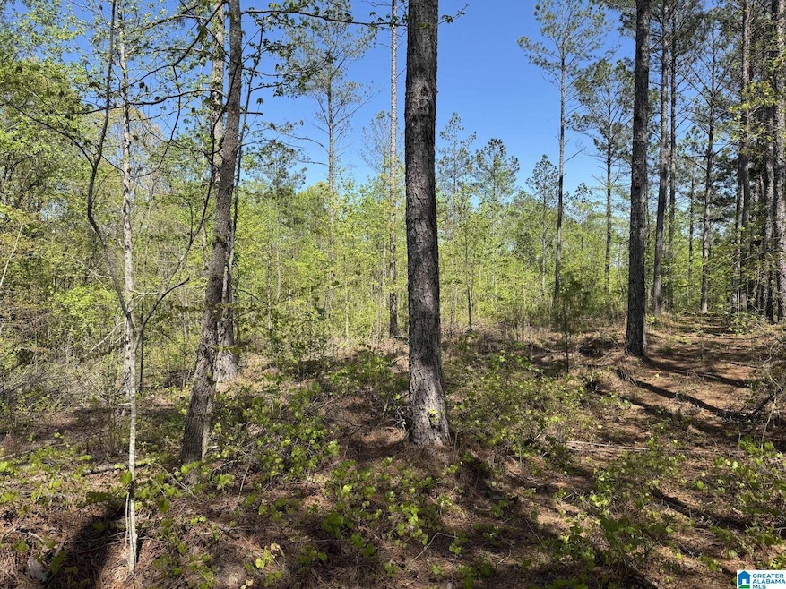 Tract 4 County Road 268 unit 4, Roanoke, AL 36274 - photo 1