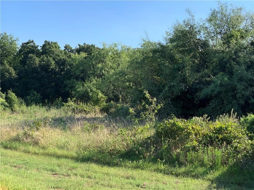 27156 Whispering Meadow, Whitney, TX 76692 - photo 1