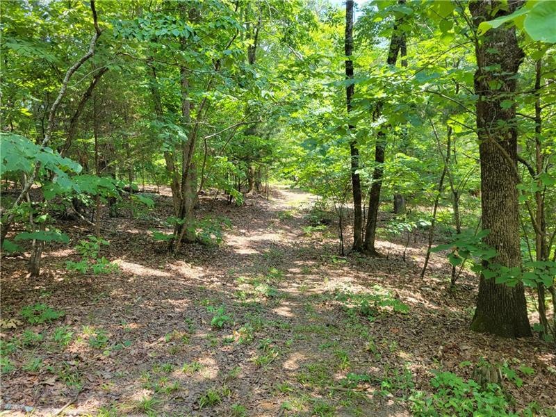 0 Hwy 411 unit 6911933, Ranger, GA 30743 - photo 1