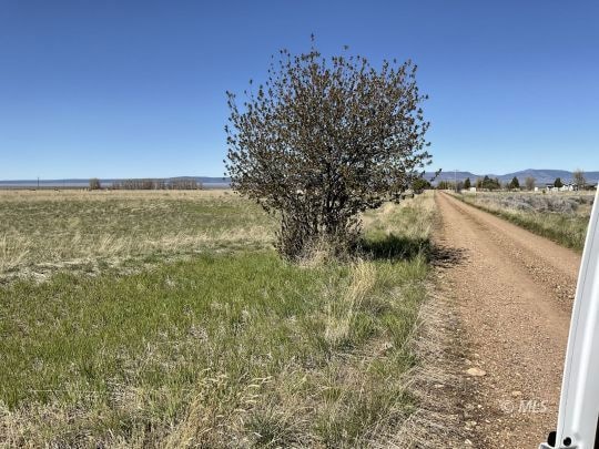 Tree is just after end of last stake