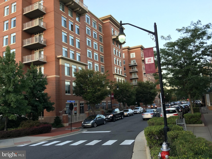 4490 Market Commons Dr unit 411, Fairfax, VA 22033 - photo 1