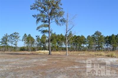 1247 Lillibridge Dr, Leland, NC 28451 - photo 1