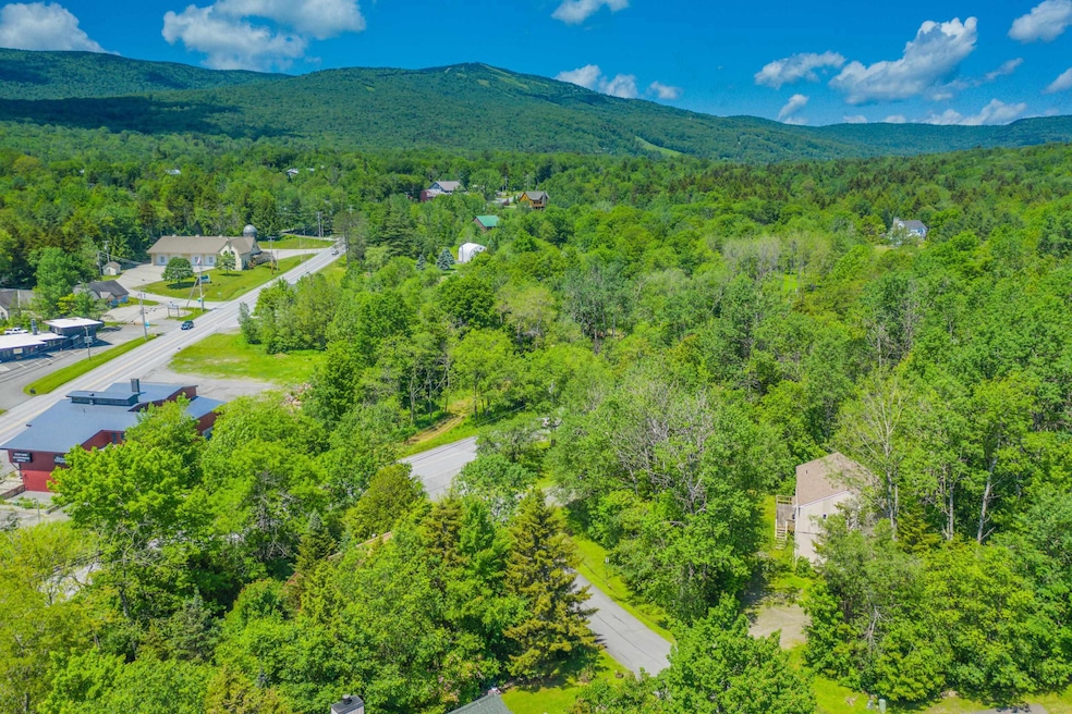 3 Mill Rd, West Dover, VT 05356 - photo 1