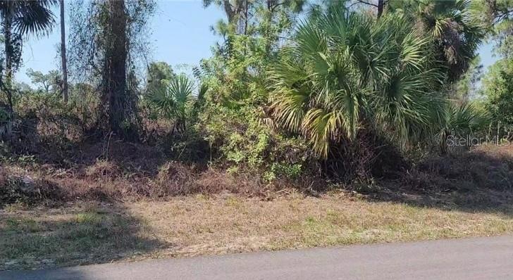 652 Naples Ave S, Lehigh Acres, FL 33974 - photo 1