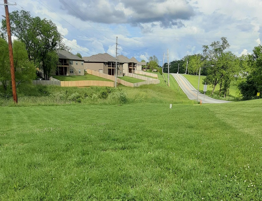 819 E Twin Maple Ct, Nixa, MO 65714 - photo 1