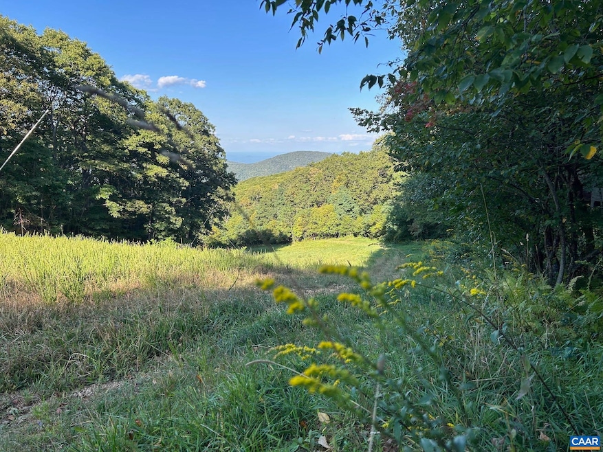 134 Squirrel Tree Ln, Roseland, VA 22967 - photo 1