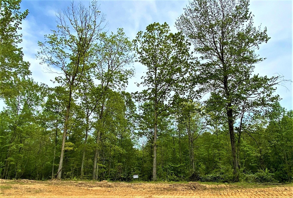 Lot 50