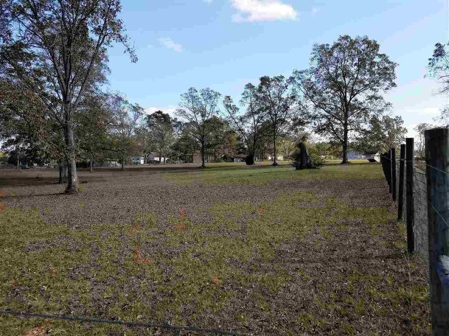 xxxx Dollar Store Rd unit n/a, Ochlocknee, GA 31773 - photo 1