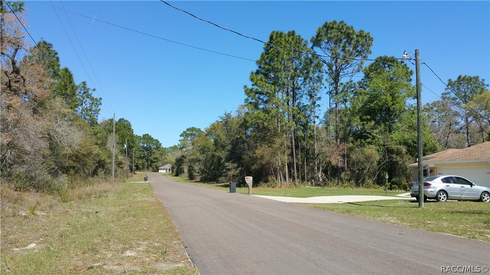 8891 N Tempest Dr, Citrus Springs, FL 34433 - photo 1