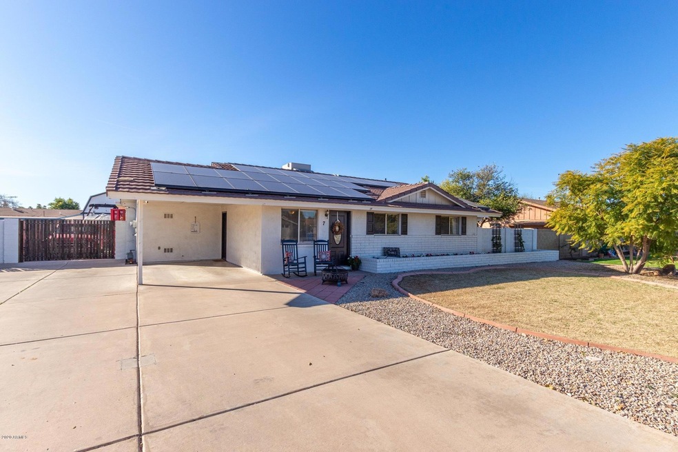 0003-Mesquite (2)