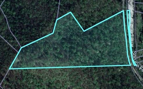 0 Spruce Fork unit 11581337, Jeffrey, WV 25114 - photo 1