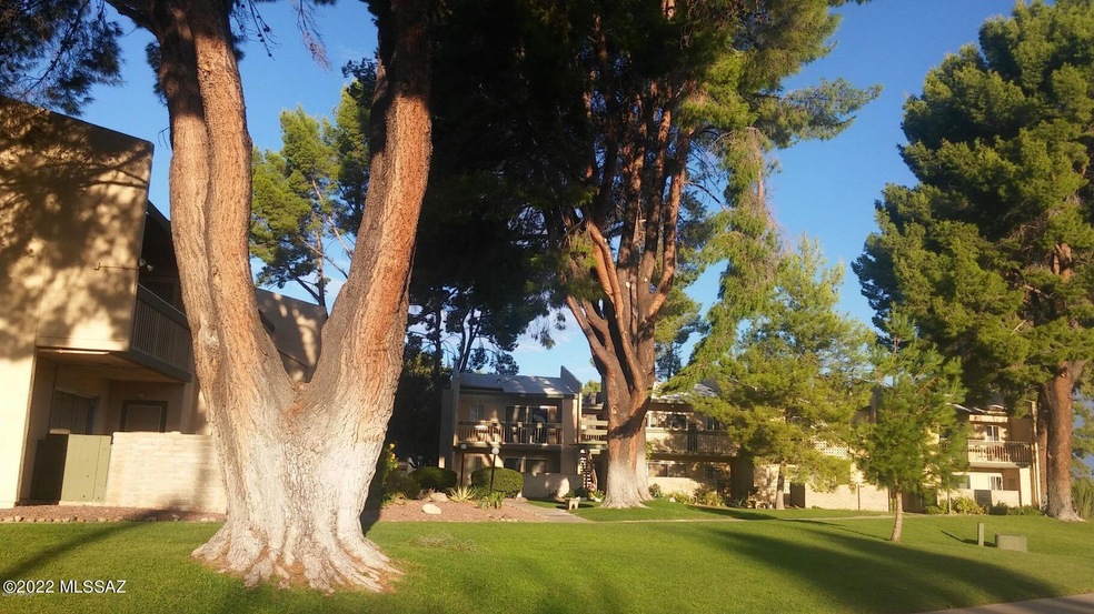 Langley Photo 12