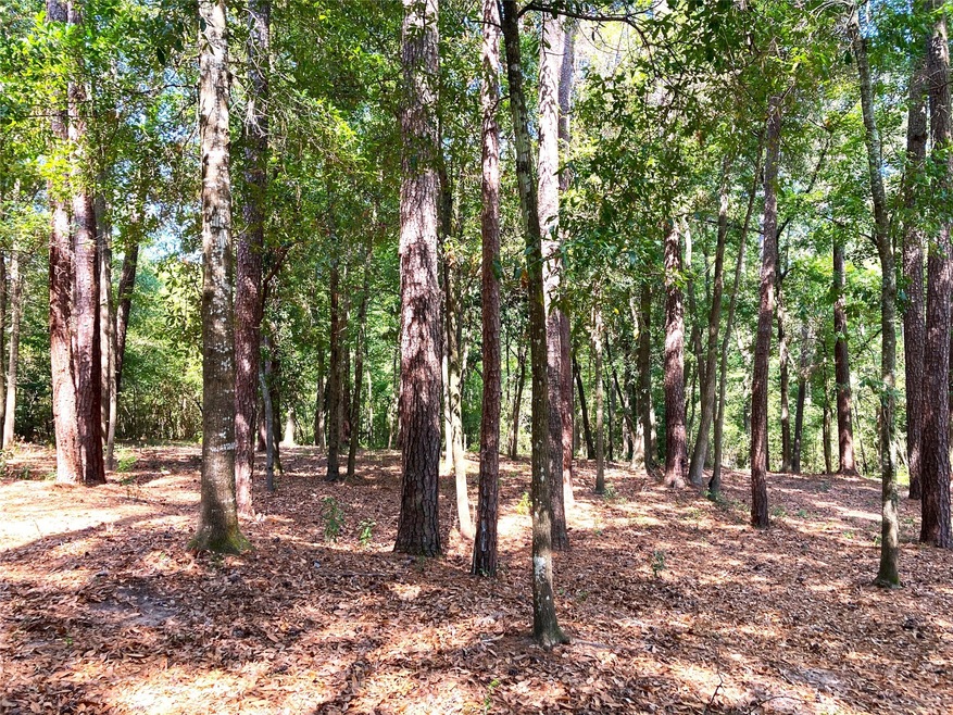 Picture your new home nestled amongst this private lot.