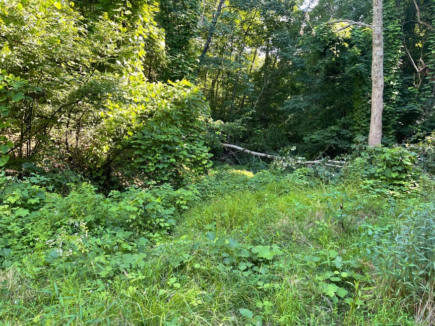 176 Dalewood Rd, Johnson City, TN 37601 - photo 1