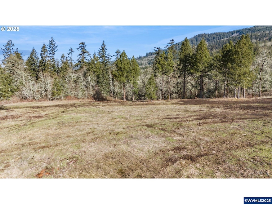 Lot 1st St, Harrisburg, OR 97446 - photo 1