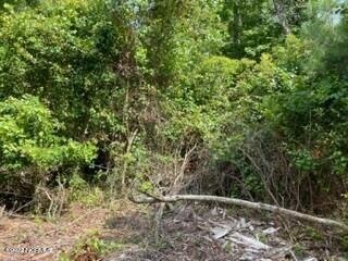 Wood lot 7