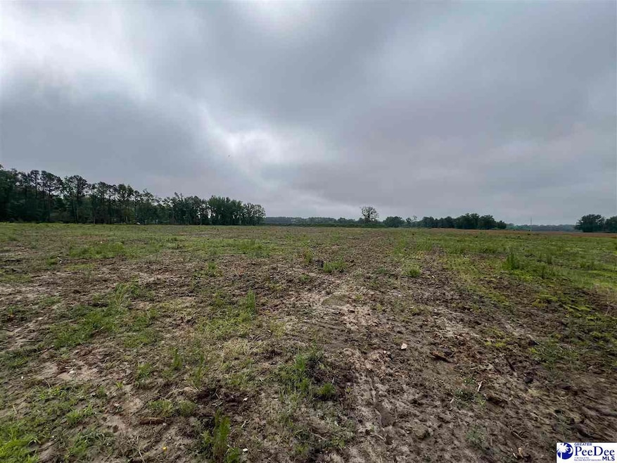 TBD Harry Byrd Hwy, Darlington, SC 29532 - photo 1
