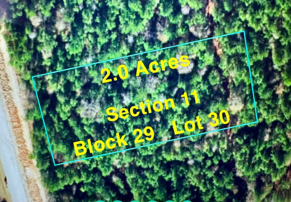 11-29-30 Grey Feather Rd, Huntsville, TX 77340 - photo 1