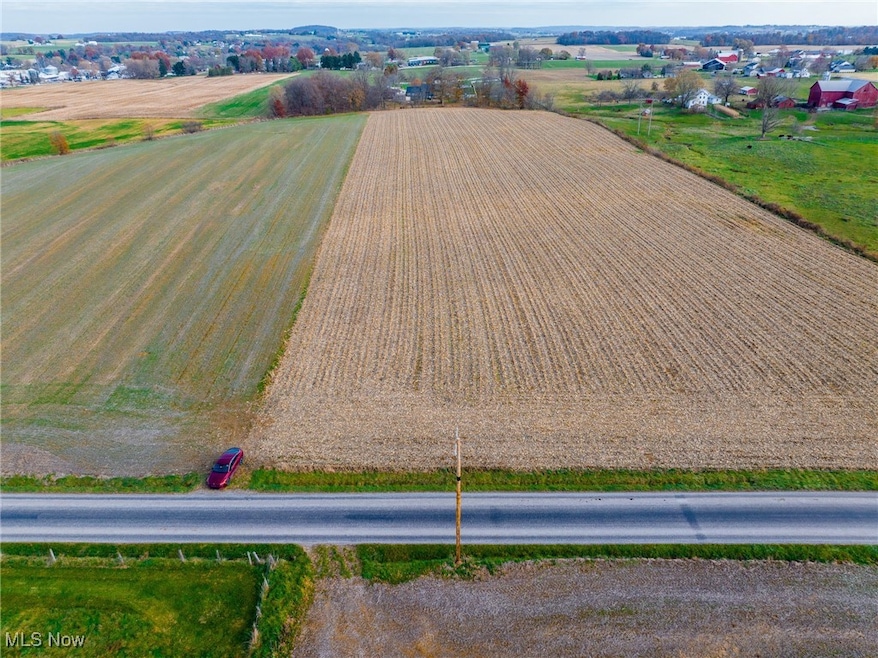 0 S Kohler Rd unit 5172588, Apple Creek, OH 44606 - photo 1