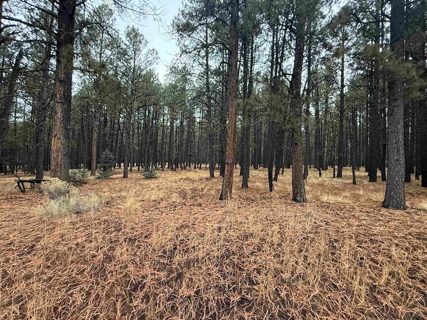 Lot 122 San Juan Dr, Angel Fire, NM 87710 - photo 1