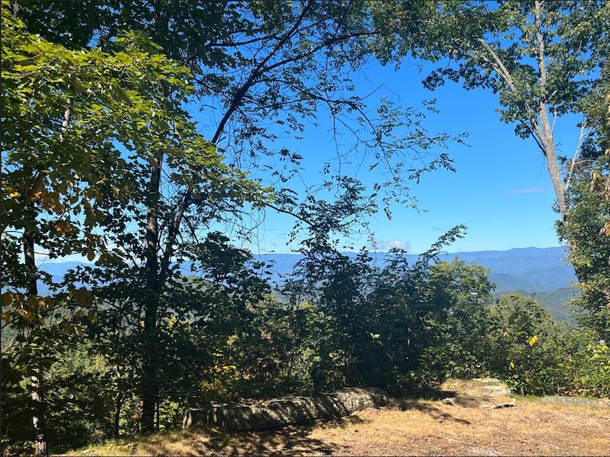 25 25 Stoney Bluff, Bryson City, NC 28803 - photo 1