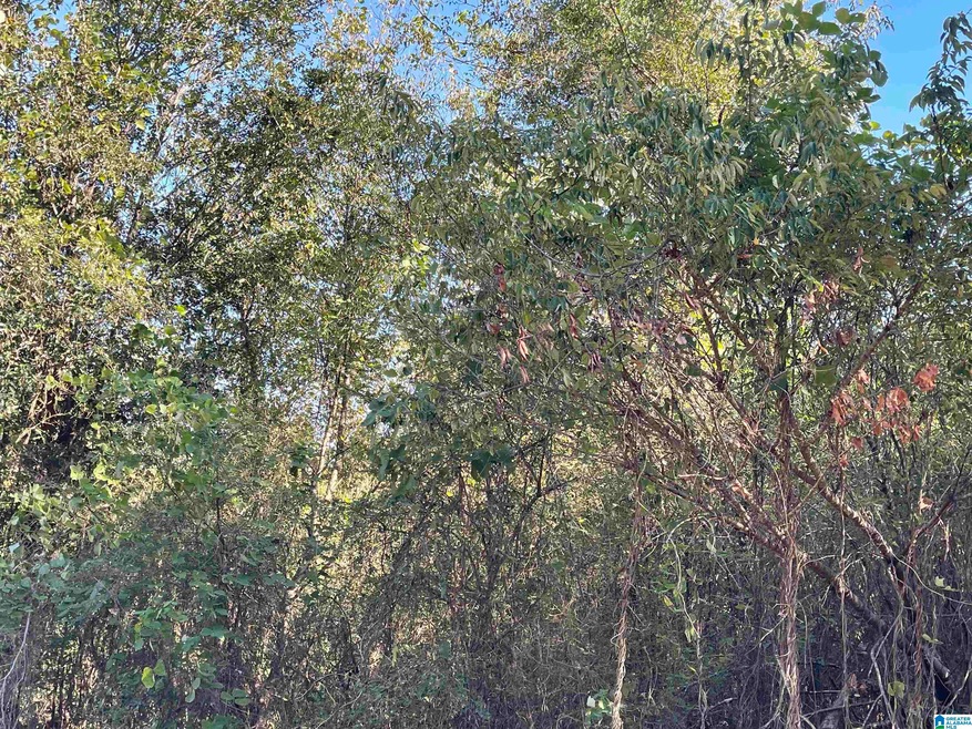 0 Howells Cove Rd unit 21433059, Talladega, AL 35160 - photo 1