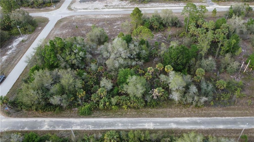 1215 Hillcrest St E, Lehigh Acres, FL 33974 - photo 1