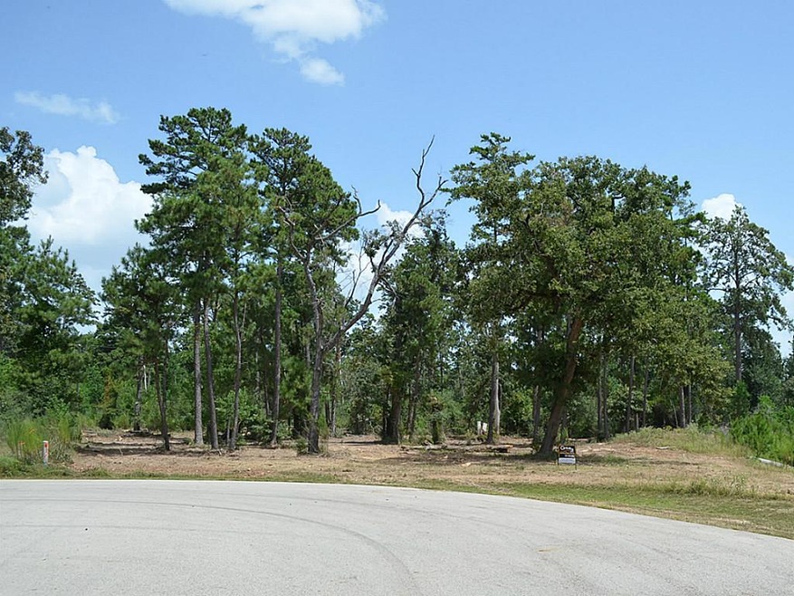 29026 Village Ridge Ct, Magnolia, TX 77355 - photo 1