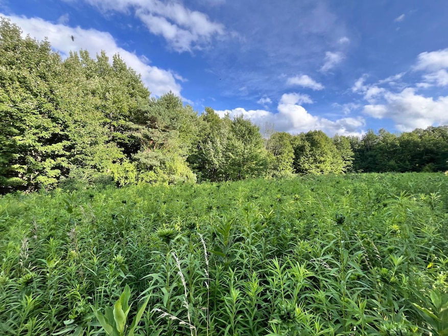 0 Greenbush Rd unit Held - 12 11557762, Erin, NY 14838 - photo 1